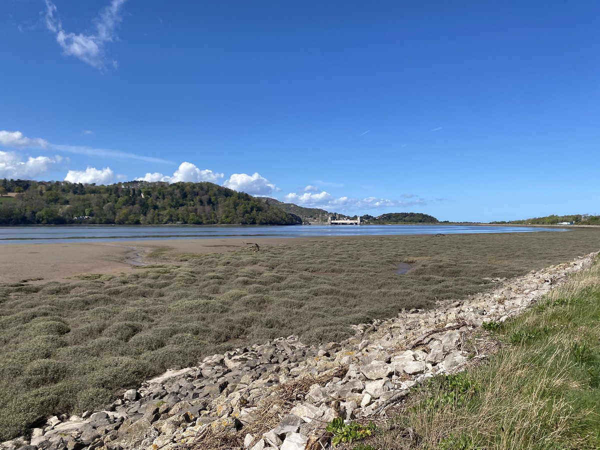 Janet Grant tweet media