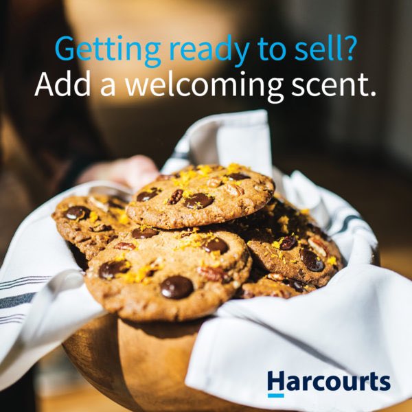 diamondheaddave's tweet image. Selling your home can be stressful, but we’re here to help! Our team can guide you through the process and provide expert advice to help you sell quickly and for top dollar 💵 

#sellinghomes #betterinblue #cookiemonster #harcourtsislandrealestate