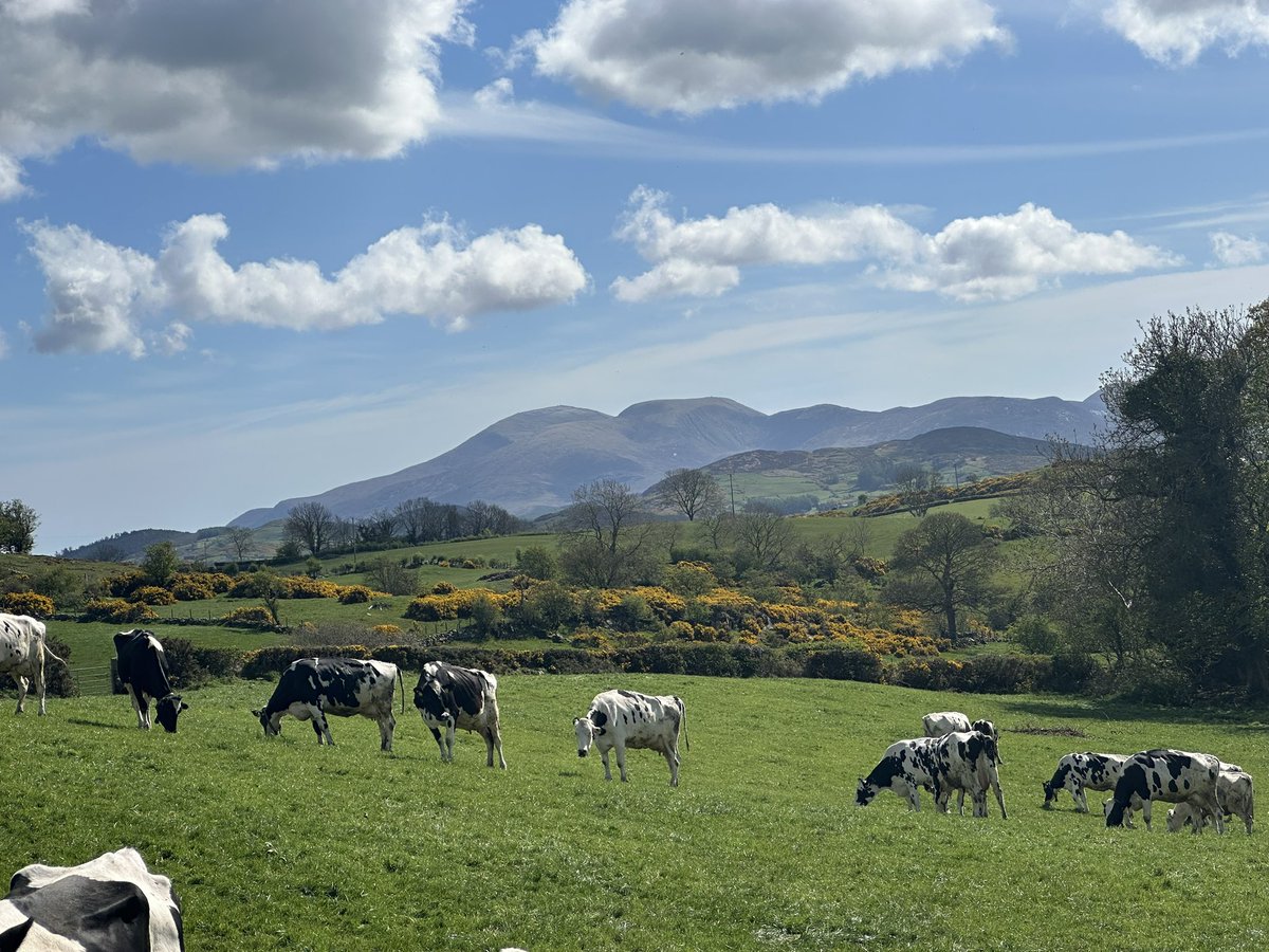 Ulster Grassland Society tweet media