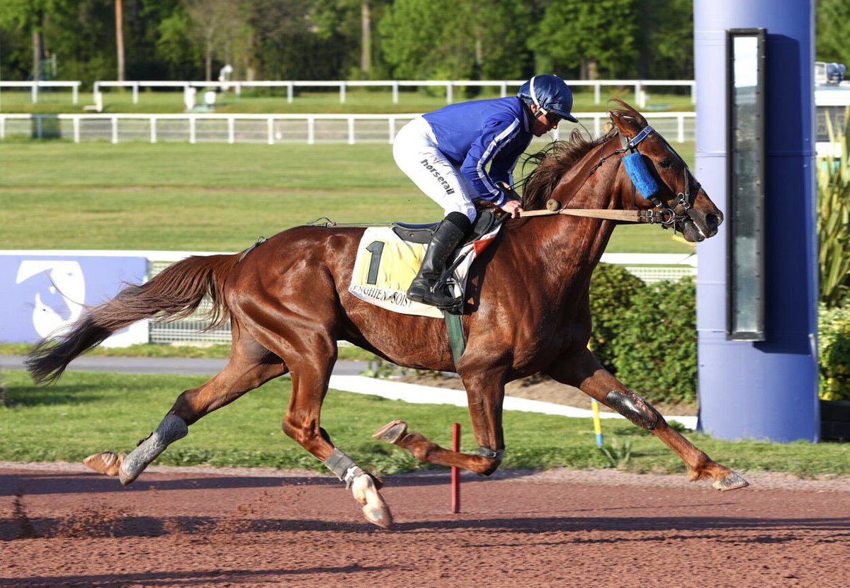 ⭐️GALA TEJY⭐️

Victoire de 🥇 Lucero Tejy à Enghien pour sa deuxième sortie cette année !

👏🏼 Ch.Chalon / A.Barrier

#GalaTejy

📸 Scoopdyga.com