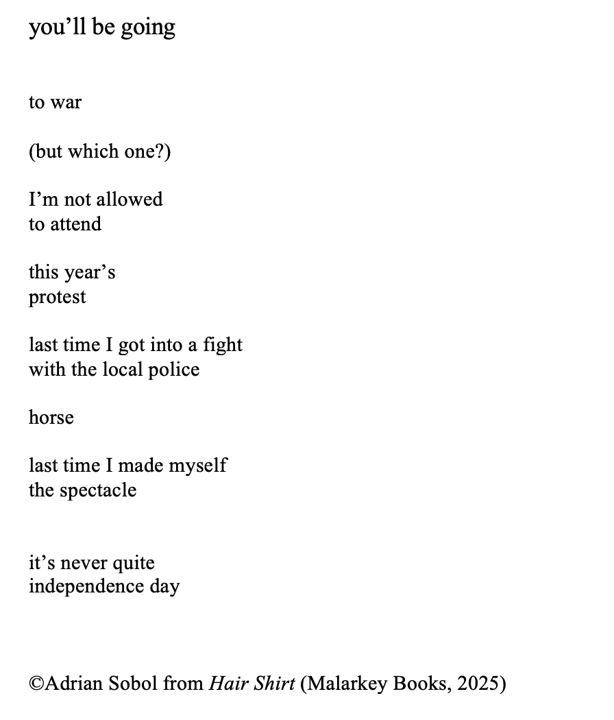 A #poem for #theresistance today from "Hair Shirt," poems by Adrian Sobol, published by Malarkey Books: malarkeybooks.com/store/hairshirt