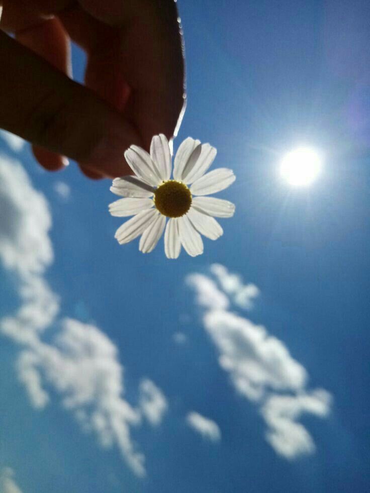 Seni asla seviyor sevmiyora maruz bırakmayacağım.
Görenler "Sevmese çiçek açmazdı zaten" diyecekler. 🌼