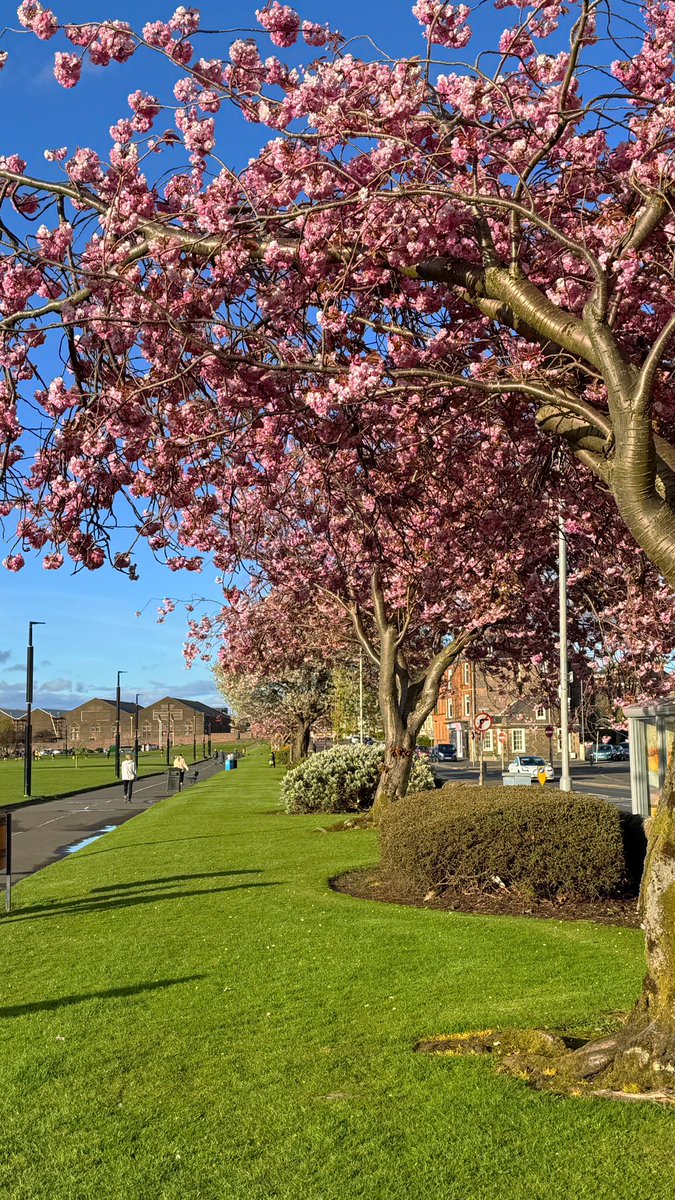 siberian_ogre (@darrocholga) on Twitter photo Beautiful Inverclyde today πΈππ΄σ §σ ’σ ³σ £σ ΄σ Ώ <a href="/BBCScotWeather/">BBC Scotland Weather</a> <a href="/BBCWthrWatchers/">BBC Weather Watchers</a> <a href="/discinverclyde/">Discover Inverclyde</a> Beautiful Inverclyde today πΈππ΄σ §σ ’σ ³σ £σ ΄σ Ώ <a href="/BBCScotWeather/">BBC Scotland Weather</a> <a href="/BBCWthrWatchers/">BBC Weather Watchers</a> <a href="/discinverclyde/">Discover Inverclyde</a>