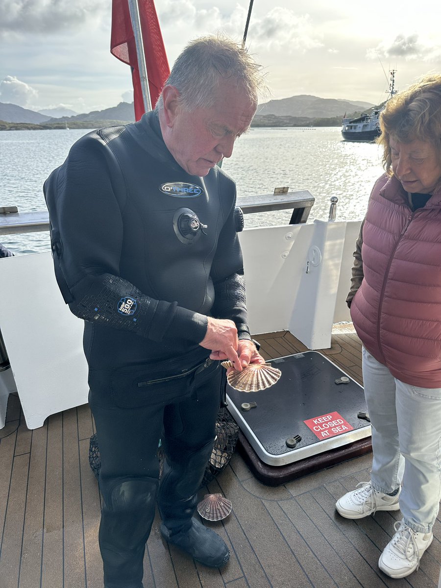 Hebridescruises's tweet photo. The freshest of seafood on our In Search of Seafood Cruise 🦞🦐

📸 Lynsey bland https://t.co/N2QqM0SNgv