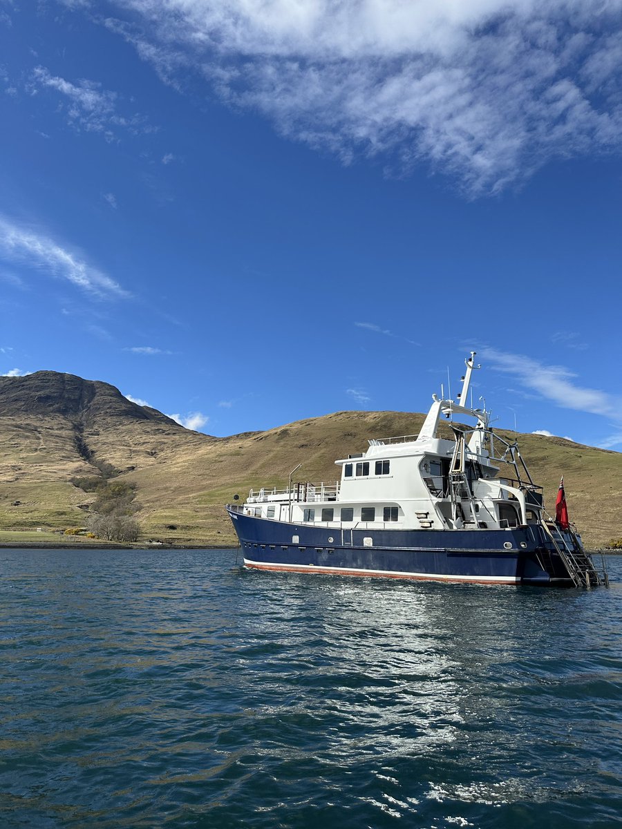 Hebridescruises's tweet photo. The freshest of seafood on our In Search of Seafood Cruise 🦞🦐

📸 Lynsey bland https://t.co/N2QqM0SNgv