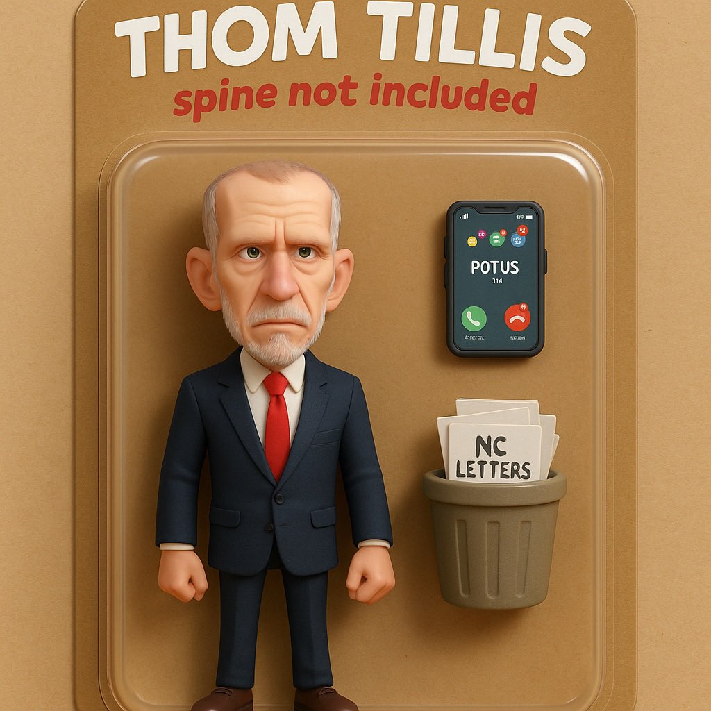 WileyNickel's tweet photo. Now available: the Thom Tillis action figure! Talks tough, does nothing. When Trump &amp; Elon call, he folds faster than a deck of cards. (Spine not included) https://t.co/1mZDpTRR7E