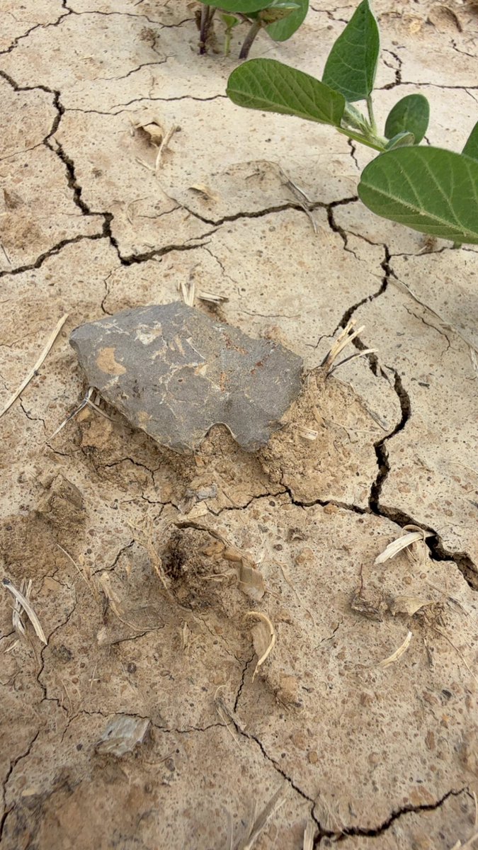 Johnathon Morris tweet media