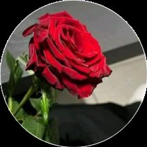 الكل يتابع مضمون الباك

<a href="/qs7J86z78N70865/">النسيم</a>