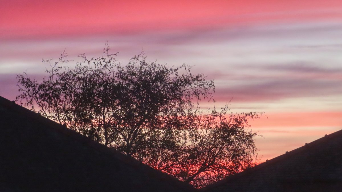john dyer (@wildswimmer67) on Twitter photo Sunset shades over MotherWell. #sunsetfrommysofa #sunset #weather <a href="/BBCScotWeather/">BBC Scotland Weather</a> <a href="/StormHour/">#StormHour</a> #cloudscape <a href="/ScottishField/">Scottish Field</a> Sunset shades over MotherWell. #sunsetfrommysofa #sunset #weather <a href="/BBCScotWeather/">BBC Scotland Weather</a> <a href="/StormHour/">#StormHour</a> #cloudscape <a href="/ScottishField/">Scottish Field</a>