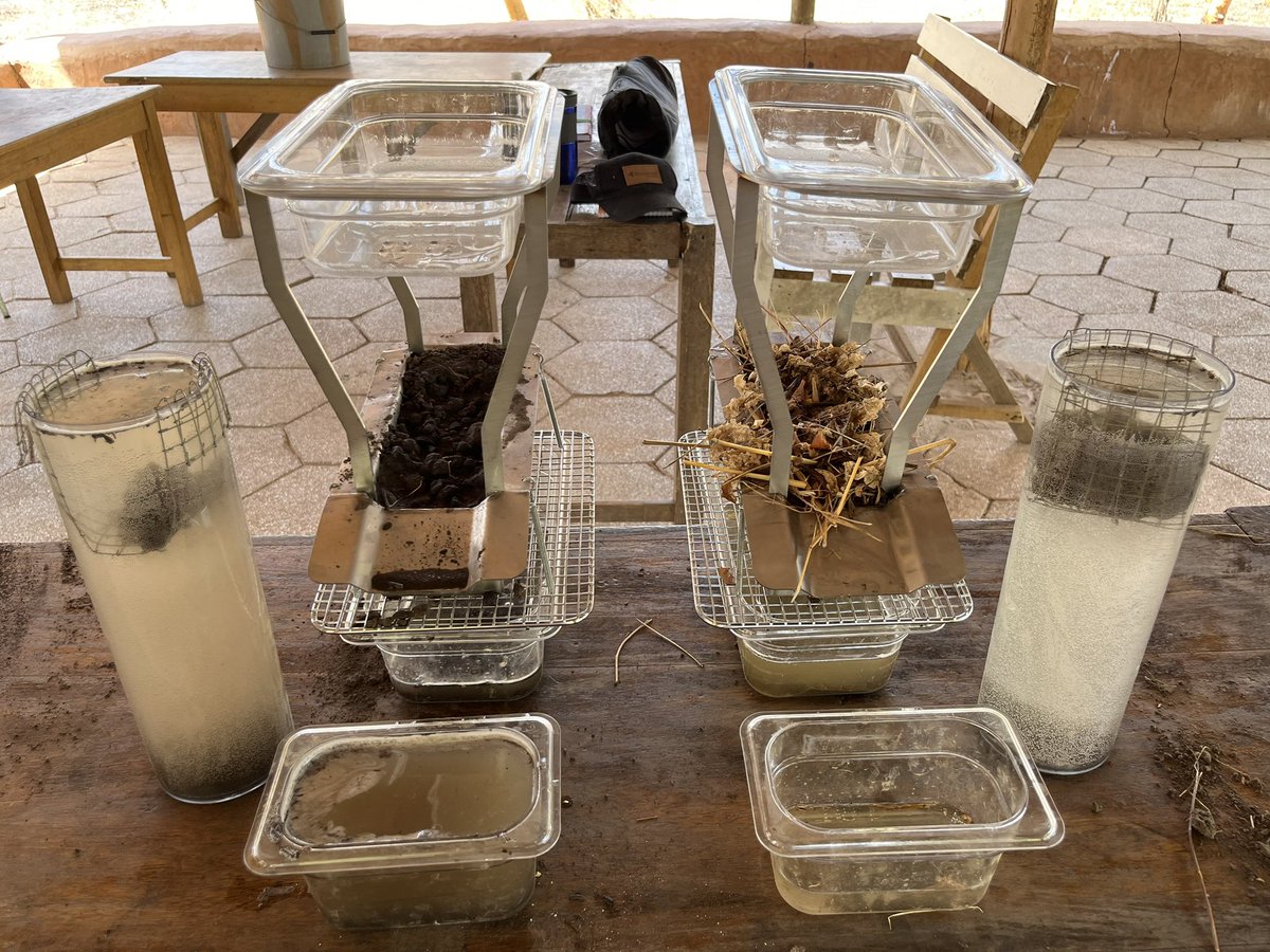 Some soils and water action in Senegal Africa where <a href="/farminggodsway/">Farming God's Way</a> is making a huge difference