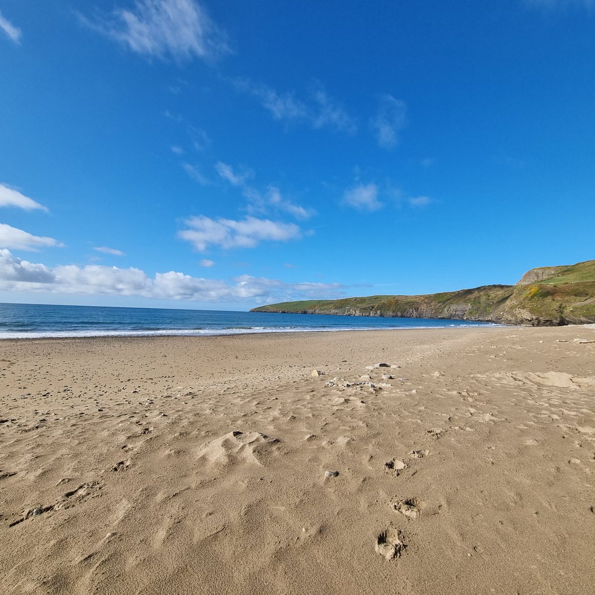 Tessa Delves tweet media