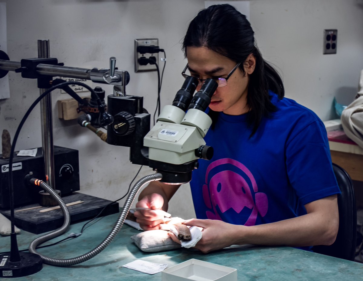 Royal Tyrrell Museum of Palaeontology tweet media