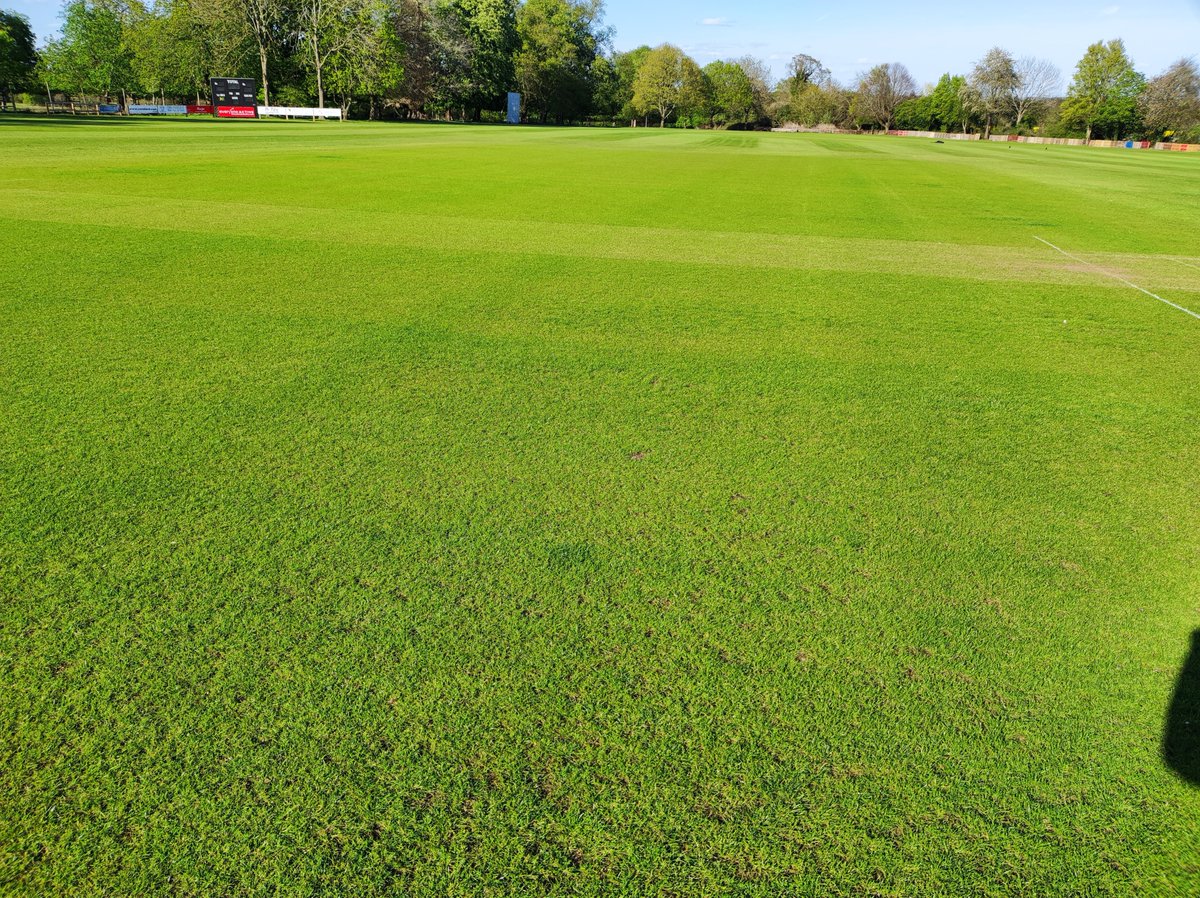 Chris Johnson (@chrisjohns32540) on Twitter photo Moss for first time on squares <a href="/KnebParkCC/">Knebworth Park CC</a> possibly prompted by Spring weather. Terralift Advance and Plantmax applied to boost the sward. Moss for first time on squares <a href="/KnebParkCC/">Knebworth Park CC</a> possibly prompted by Spring weather. Terralift Advance and Plantmax applied to boost the sward.
