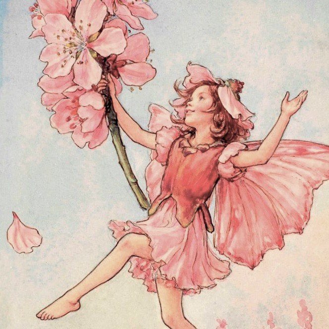 dreamyyarchive's tweet image. flower fairies by cicely mary barker 🧚🏼‍♀️