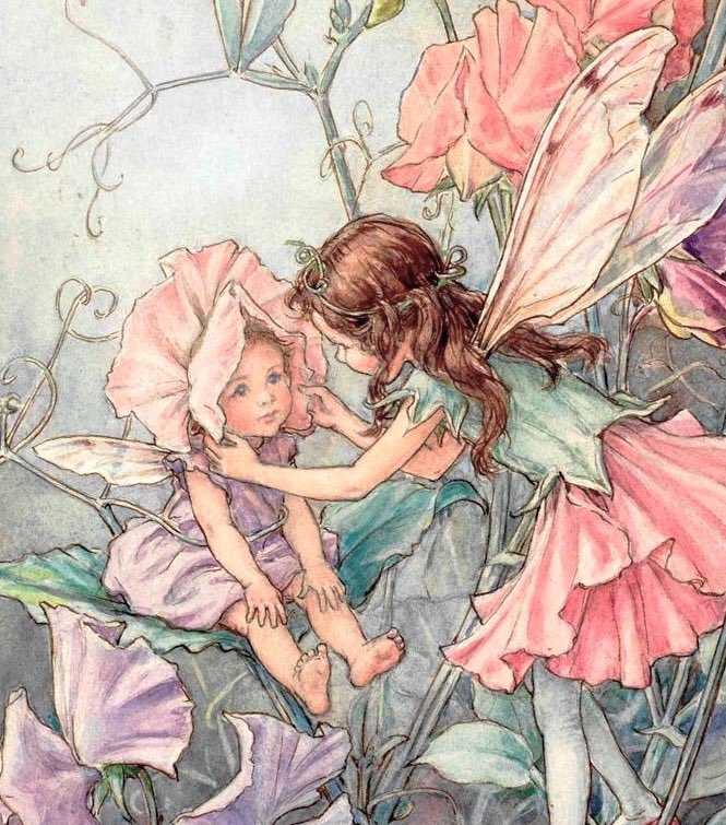 dreamyyarchive's tweet image. flower fairies by cicely mary barker 🧚🏼‍♀️