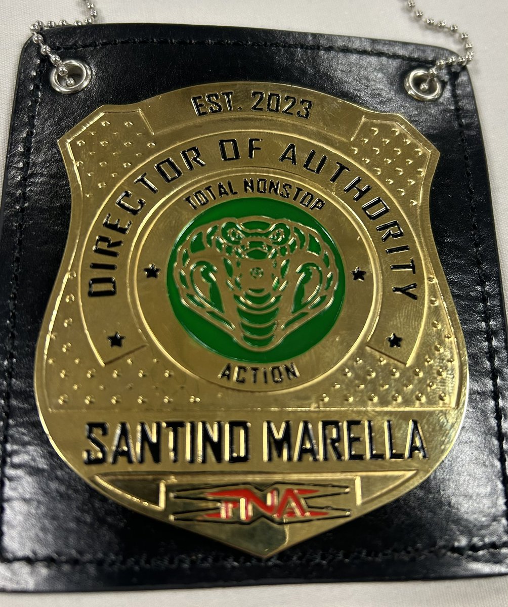 New badge, same authority! @ThisIsTNA, image size:1004x1200