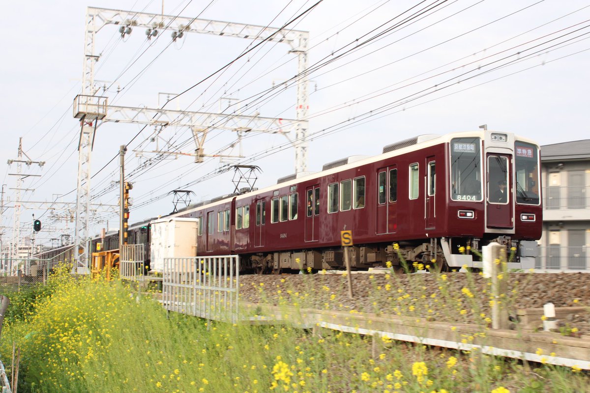 🌅えぃばる🏞️ on X