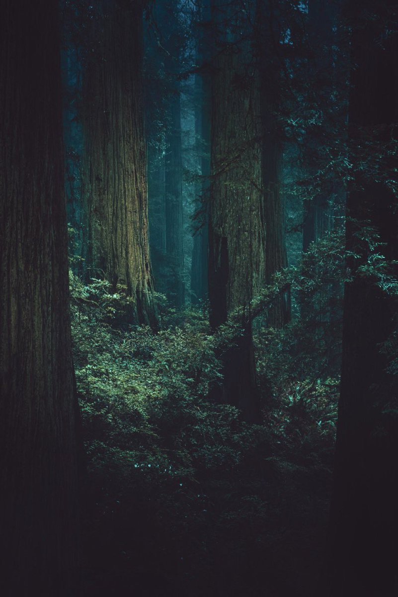 GinaChoy_'s tweet image. Nature’s Sublime

1. “Blue Cascade” (2025). @GinaChoy_ Acrylic on canvas.
2. “Into the End” (2025). @jubbishjay Photography. 

#NFTCuration