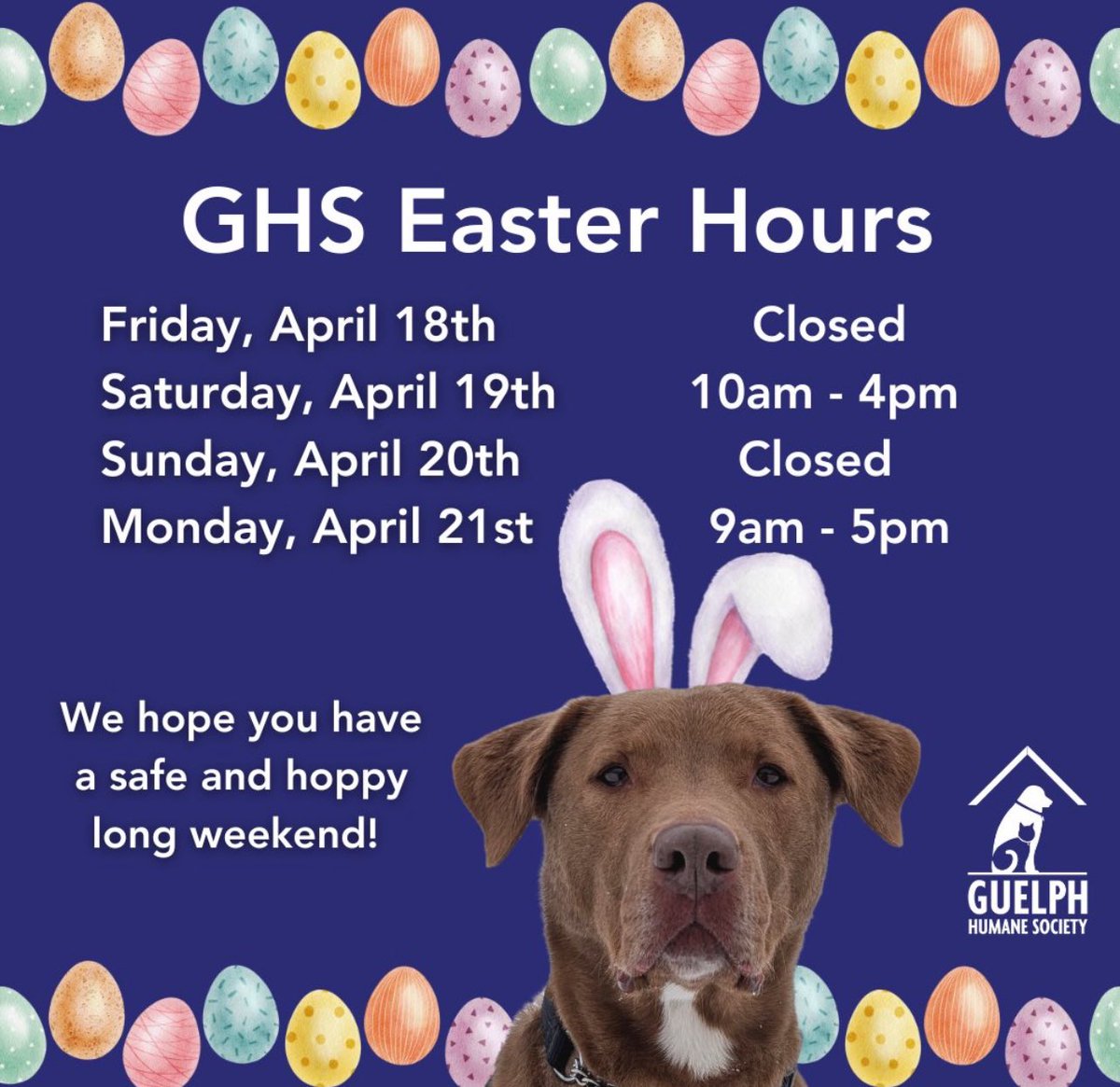 Guelph Humane Society (@guelphhumane) on Twitter photo Hoppy Easter Weekend Guelph & Wellington County! 
Our emergency services are operating all weekend long. For EMERGENCIES for an animal in distress call the GHS 519-824-9031. For animals you suspect of being NEGLECTED/ABUSED call Provincial Animal Welfare Services 1-833-9-ANIMAL Hoppy Easter Weekend Guelph & Wellington County! 
Our emergency services are operating all weekend long. For EMERGENCIES for an animal in distress call the GHS 519-824-9031. For animals you suspect of being NEGLECTED/ABUSED call Provincial Animal Welfare Services 1-833-9-ANIMAL