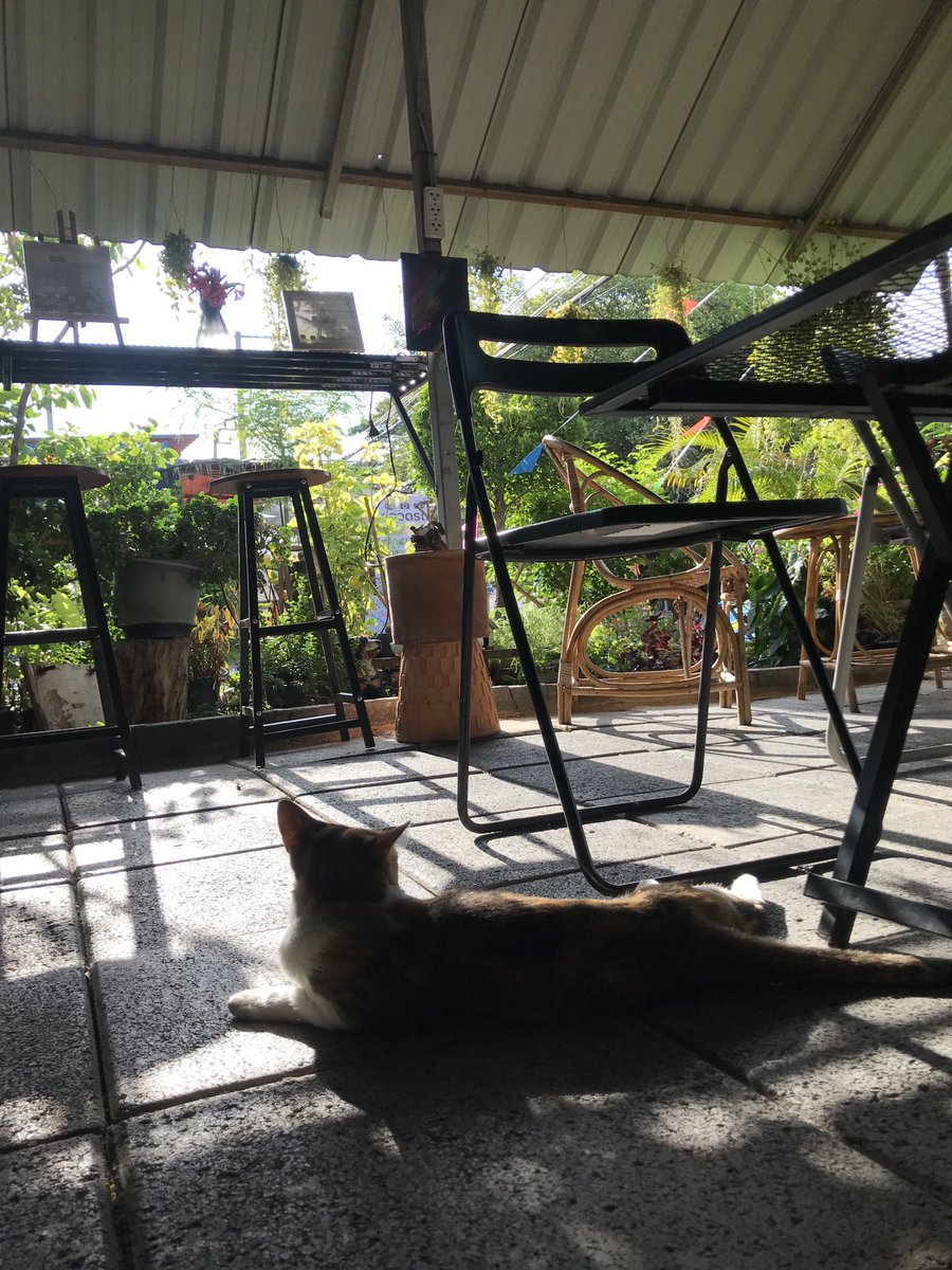 Waro (@lovewaro30) on Twitter photo 