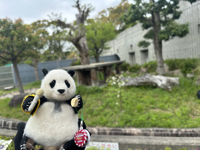 PANDA MOON (@YoshikoMoon4) / X