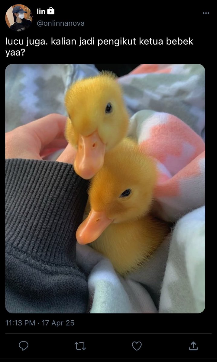 ayy yg asli sayang all member tweet media