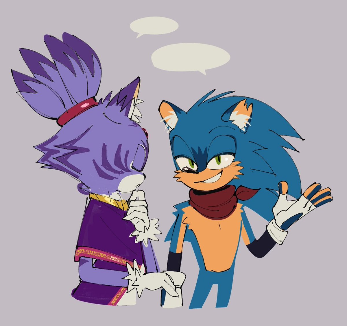 Talking... #SonicTheHedgehog #BlazeTheCat