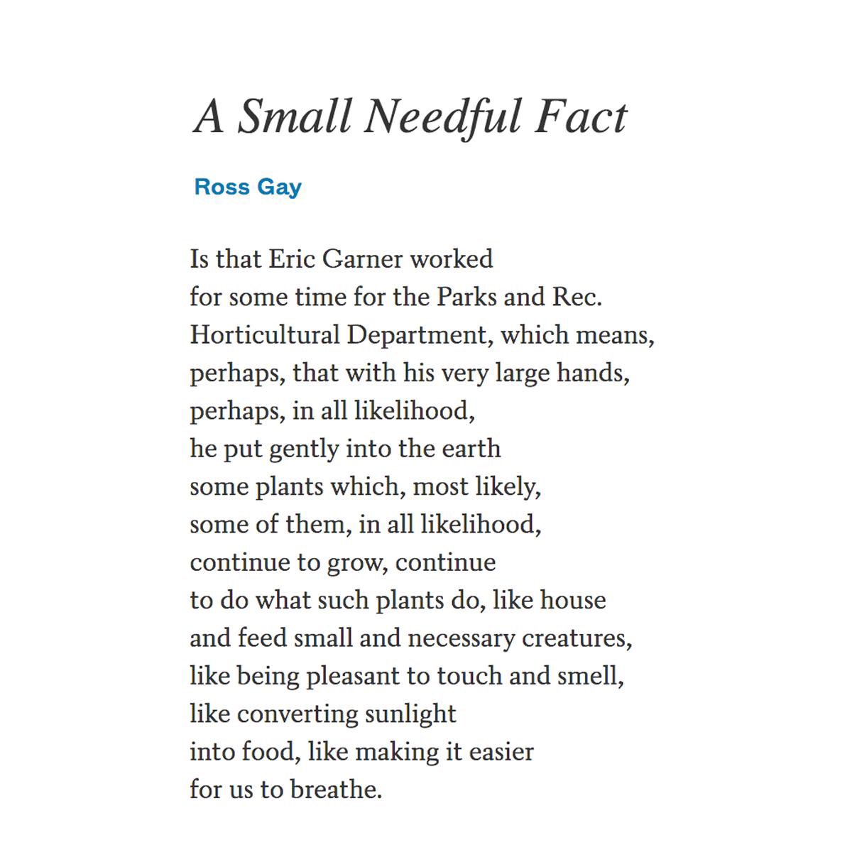 Othuke__Umukoro's tweet photo. —Ross Gay https://t.co/WYOaNSY2Gl