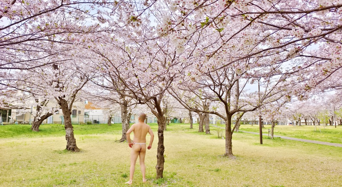 桜の下に日本男児