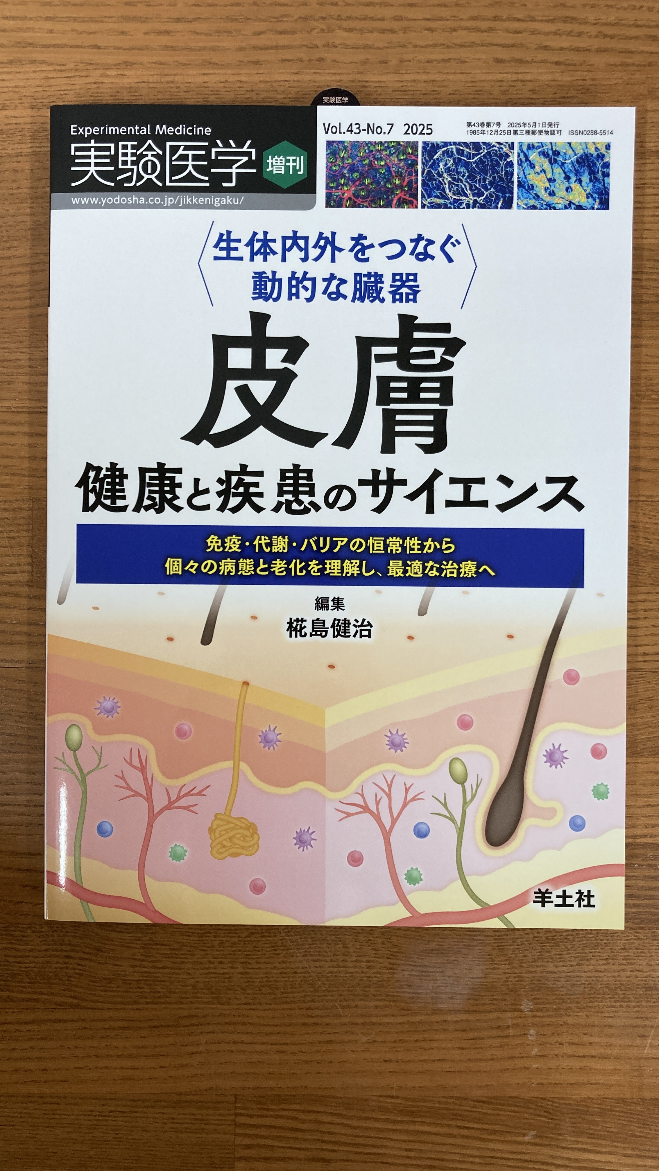 実験医学増刊：生体内外をつなぐ動的な臓器 皮膚 健康と疾患の