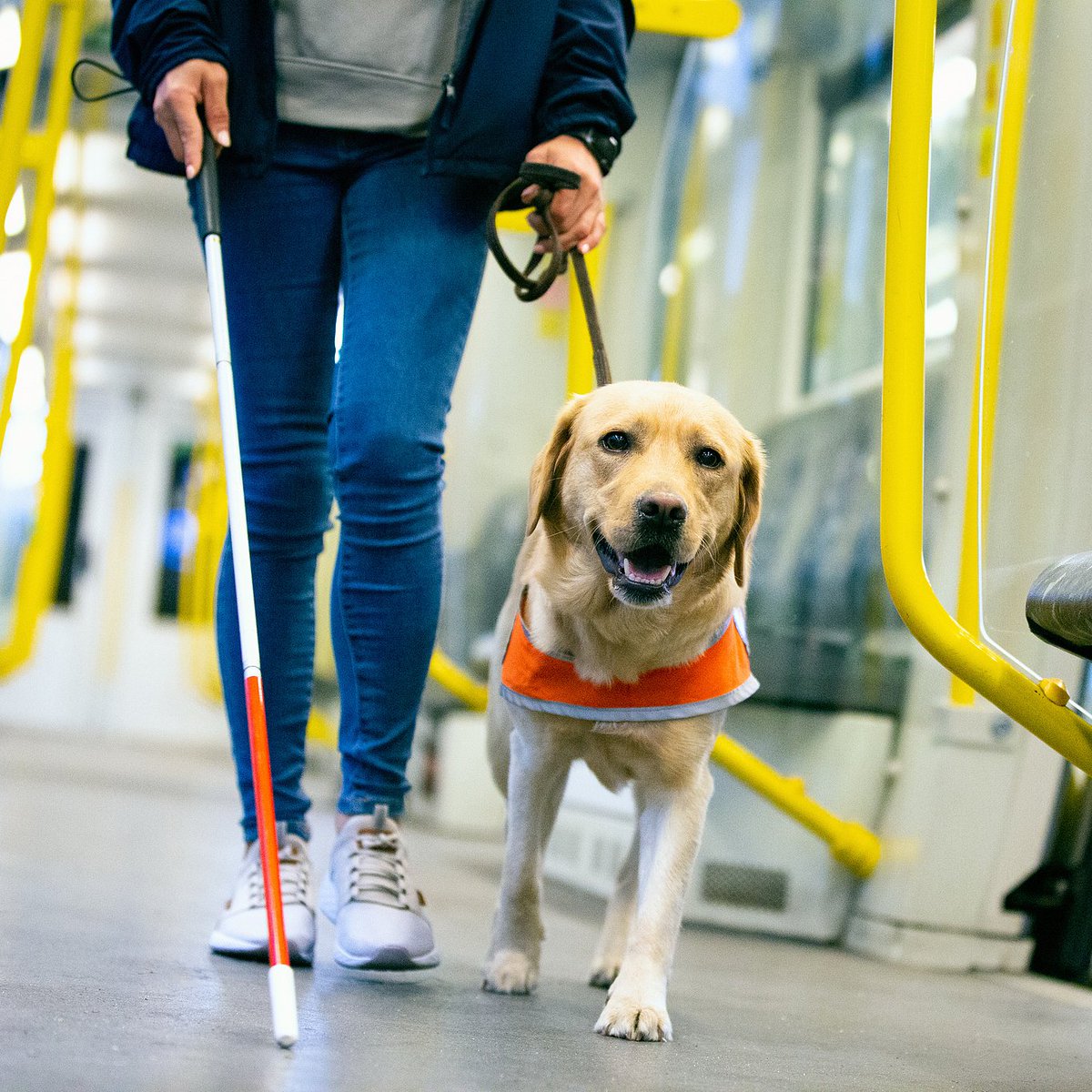 The development of accessible films reflects social progress and human care. Through audio descriptions and subtitles for the hearing impaired, visually and hearing impaired groups can enjoy movies. In China, many young volunteers actively participate in producing accessible