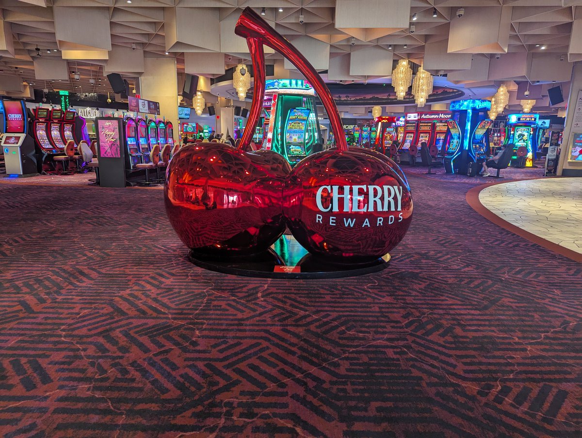 mediar 🔜 Rubbout tweet media