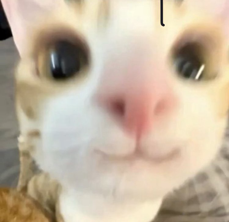 Les weeklys de la Thunder Zone reprennent **dimanche prochain** 🔥🔥
Mais avec des particularités exclusives

Plus d’infos la semaine prochaine 😉