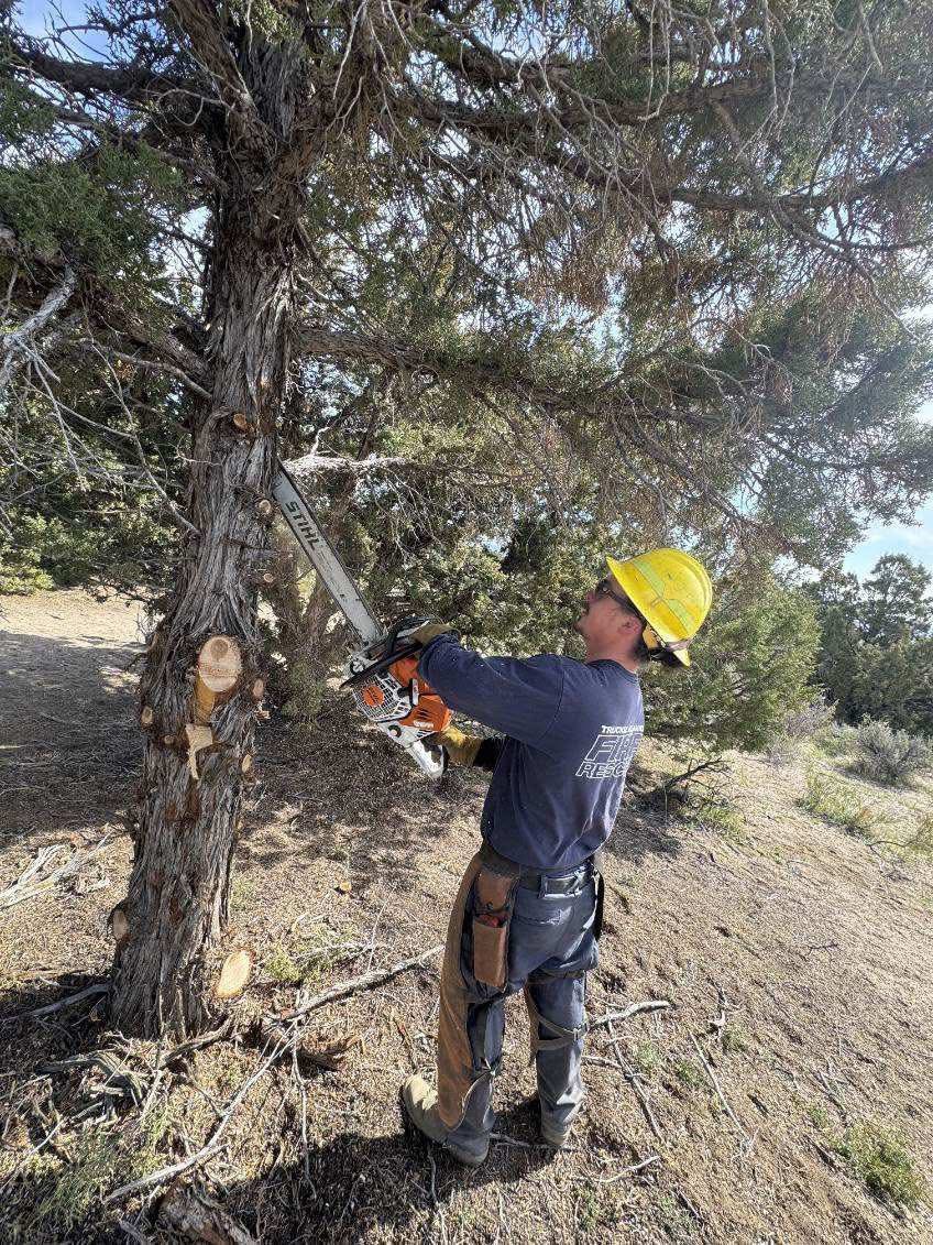 775times's tweet image. Wildfire Reduction Efforts Underway 🔥 

#TMFR Wildland Crews have been working for weeks in the Sun Valley Regional Park to reduce the impacts of potential future fires by reducing the fueling of Juniper.

📸 Sun Valley General Improvement District