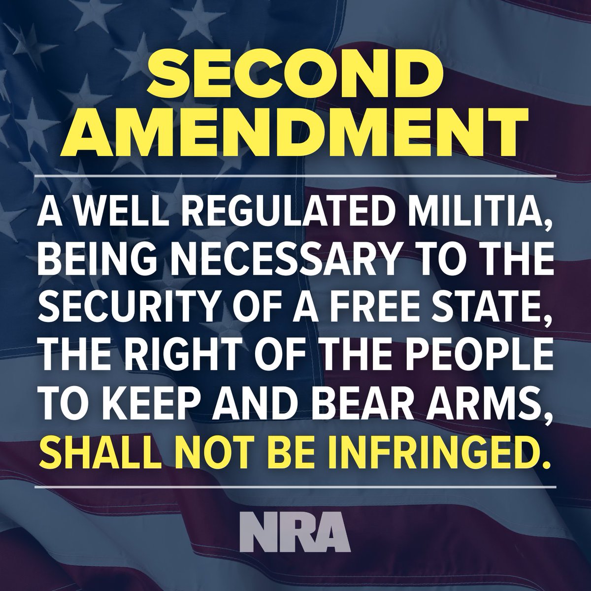 NRA's tweet photo. The Constitution is clear.

Shall. Not. Be. Infringed. 🇺🇸 https://t.co/G0kzMyTu4I