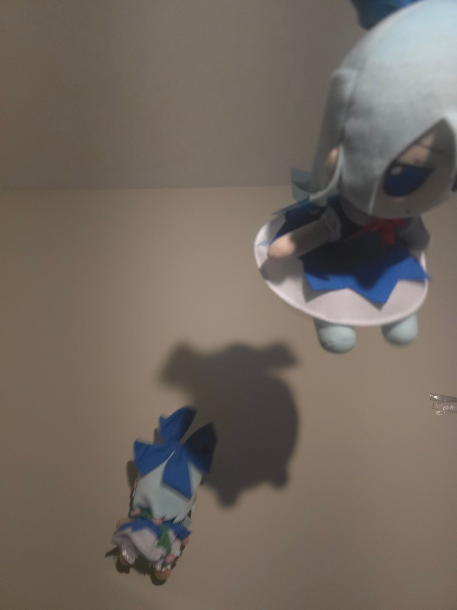 One climbs the walls while the other flies around. My house is haunted.