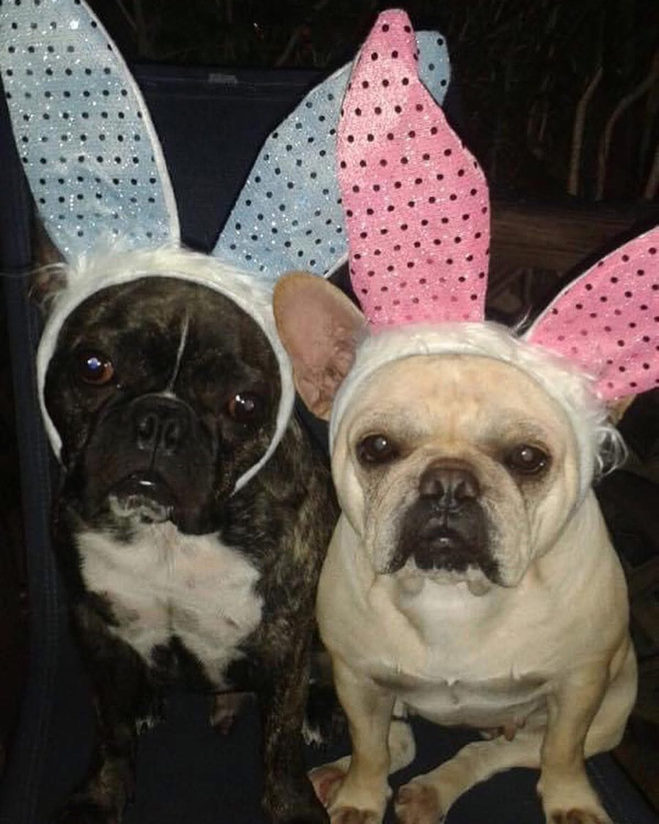 Happy Easter ya’ll