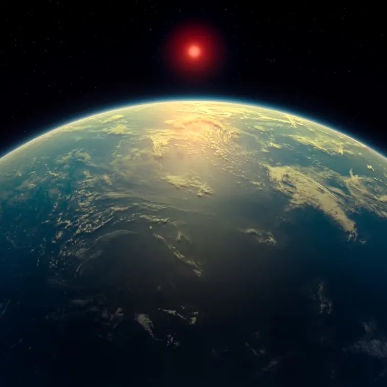 Mar Gómez tweet media