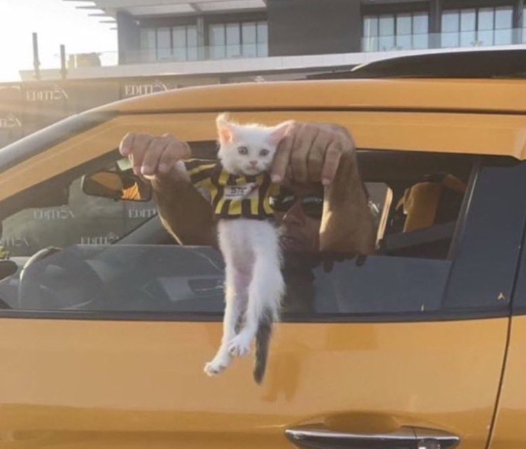 #الاتحاد