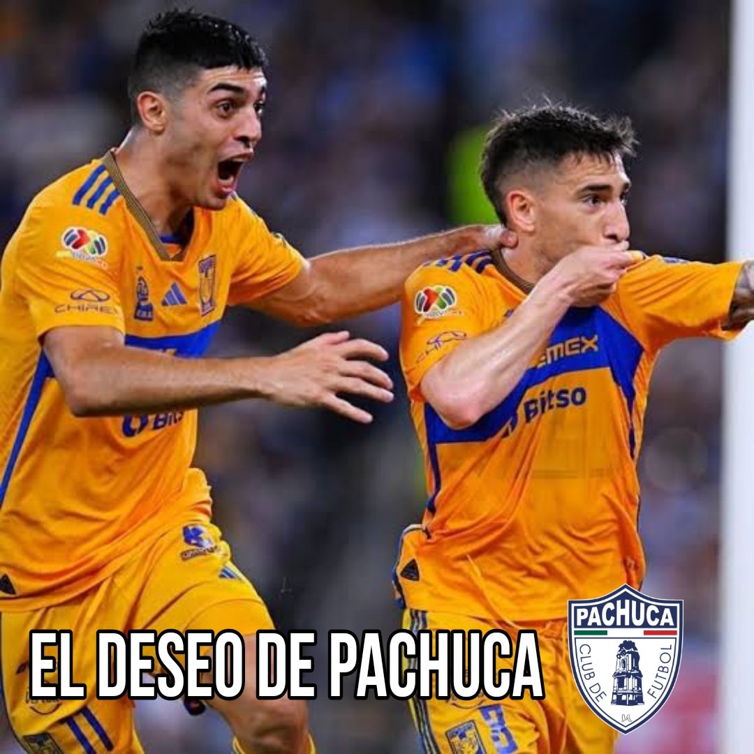 EL DESEO DE PACHUCA
La Directiva Tuza ha levantado el teléfono para solicitar a #Tigres a 2 de sus jugadores más rentable para vestirse de Tuzos.
Esto con la intención de reforzarse para el torneo veraniego #MundialDeClubes.