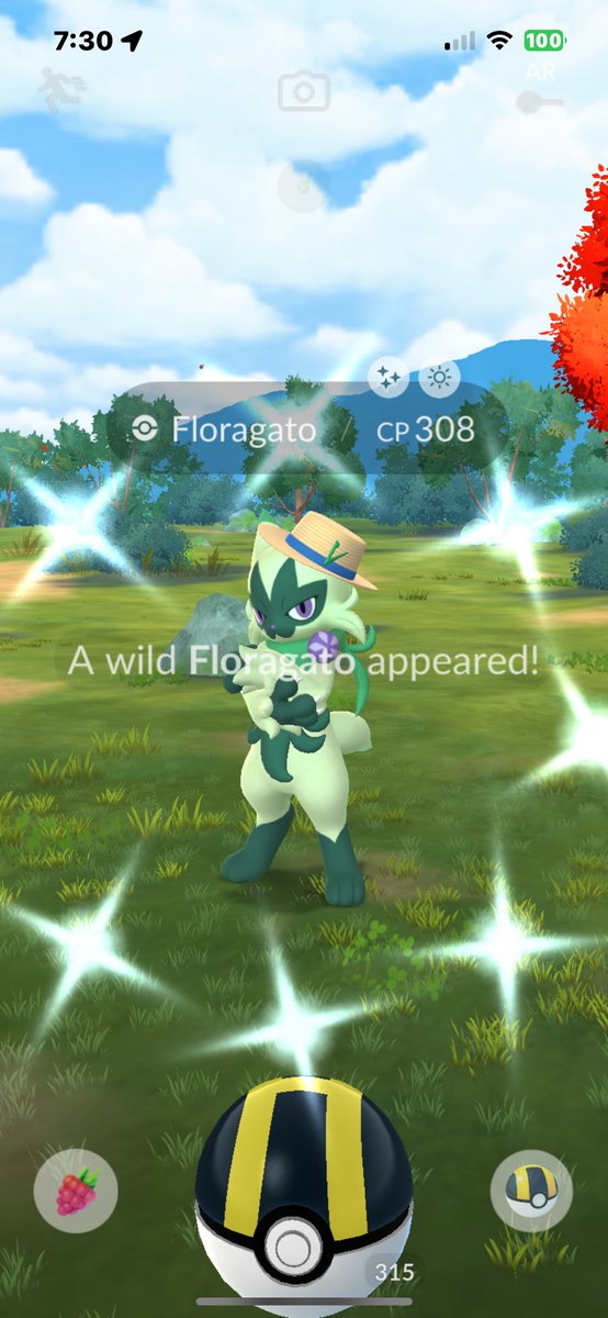 Shiny Floragato!