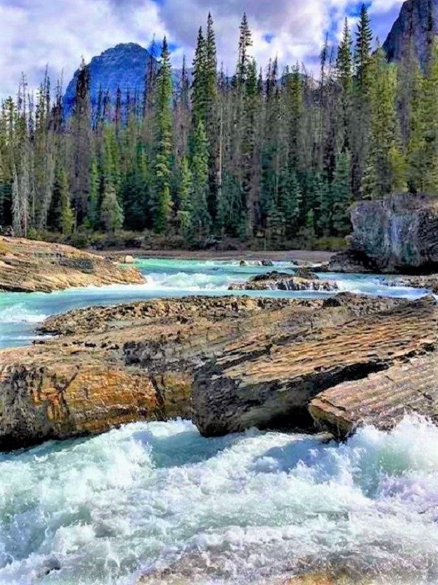 Athabasca River,Alberta-Canada.