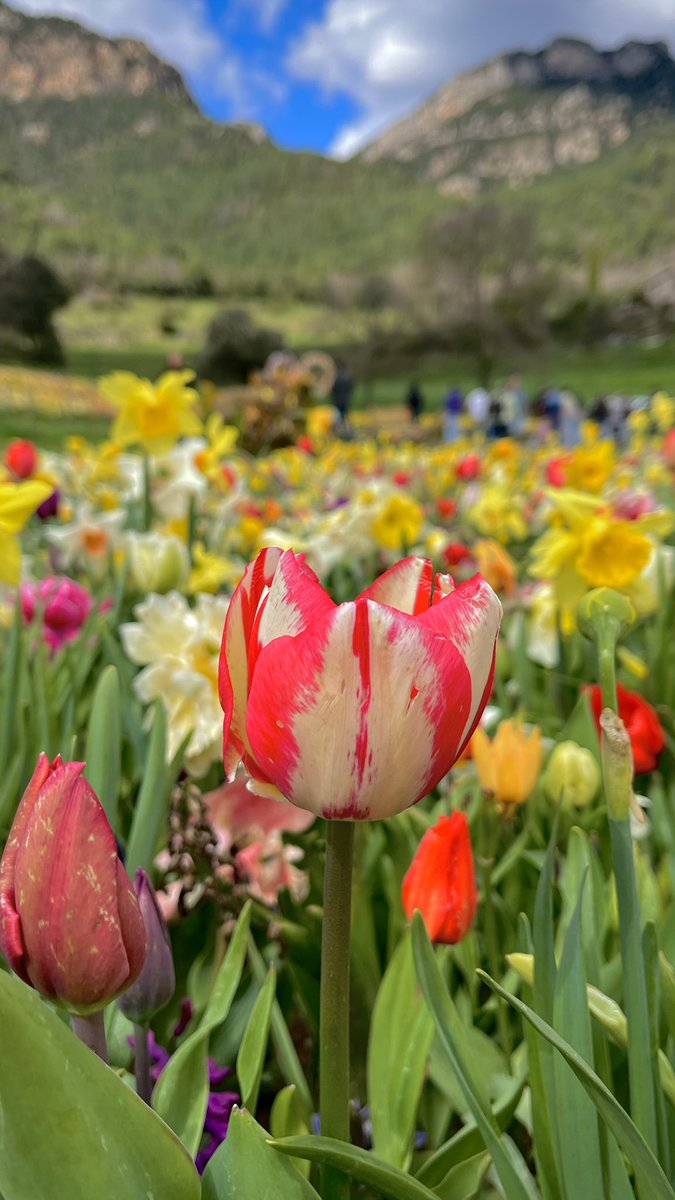 ivette . ݁₊ ⊹ .🌸 tweet media