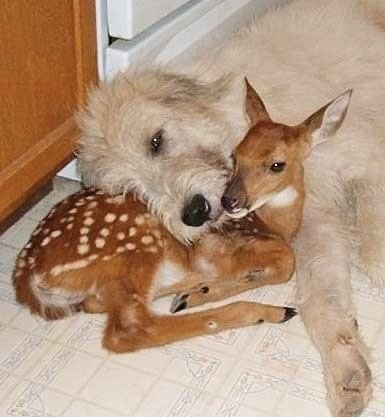 eternaltifa's tweet image. 