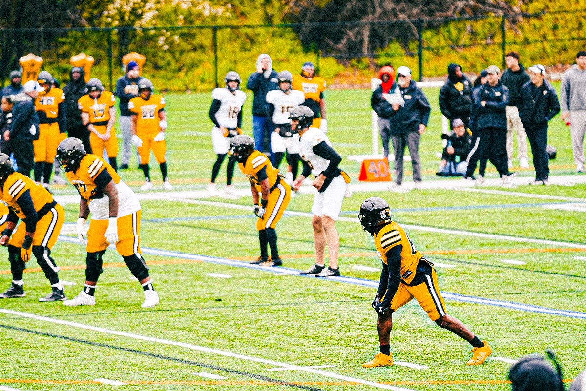 rajmadeitout's tweet image. Spring Game!