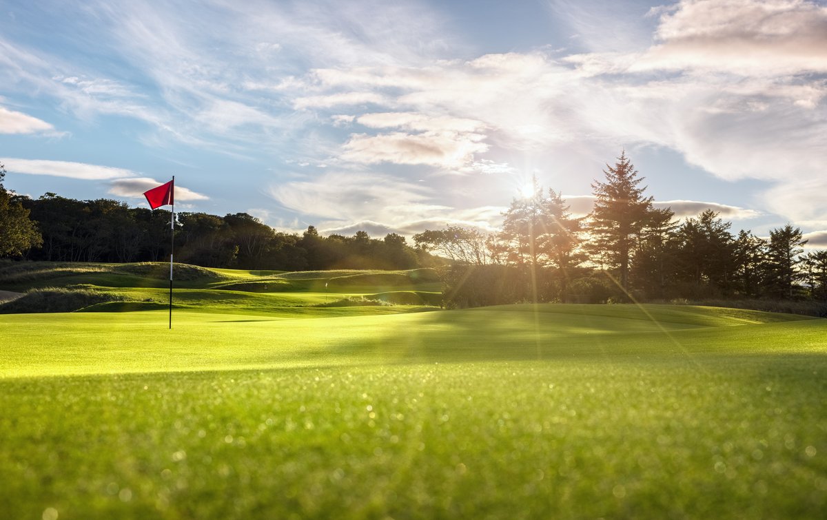 The Masters may be over, but your lawn game is just getting started 🌿⛳ Turn your yard into a champion’s green with Wakefield BioChar—because greatness starts from the soil up. 

#Masters2025 #LawnGoals #biochar #soilhealth #sustainability