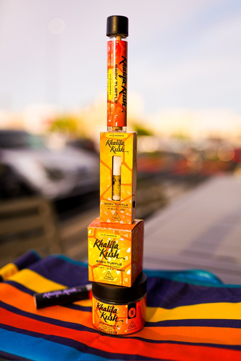 Introducing…BABY TURTLE 👶🏻🐢