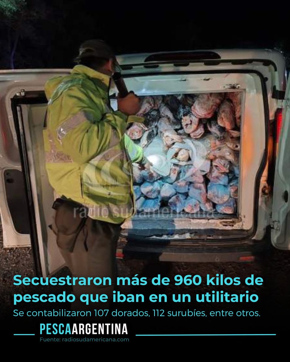 ❌️ Secuestraron más de 960 kilos de pescado que iban en un utilitario.

🚨 Se contabilizaron 107 dorados, 112 surubíes y filetes de tararira.

👉🏻Leé la nota aca👉🏻 pescaargentina.com.ar/noticia/secues…
---
#depredacion #controles #corrientes #pescailegal #pesca
Ref:radiosudamericana.com