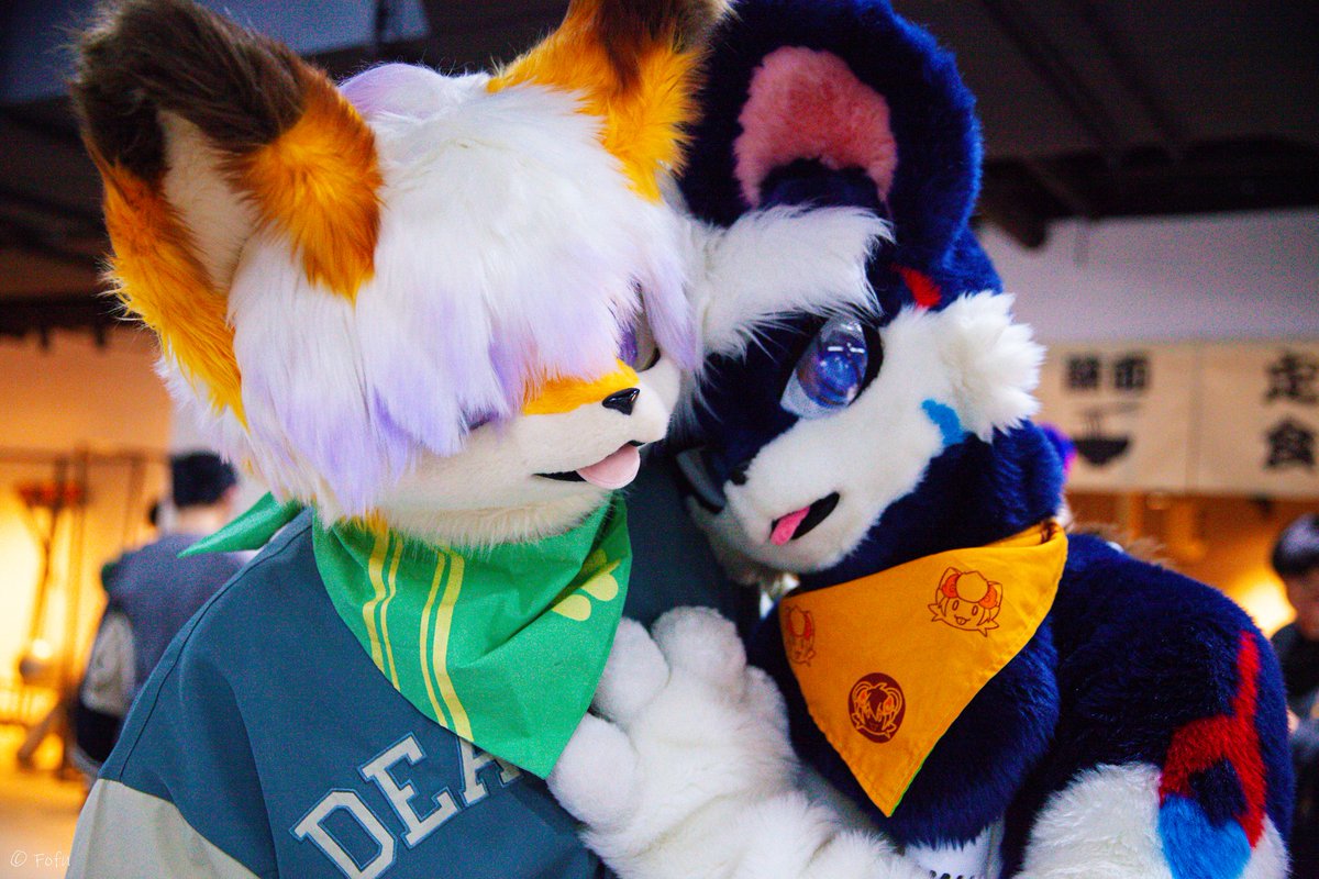 #FursuitFriday 小鸟依人🥰
📷：<a href="/Dispnt/">fofu</a>