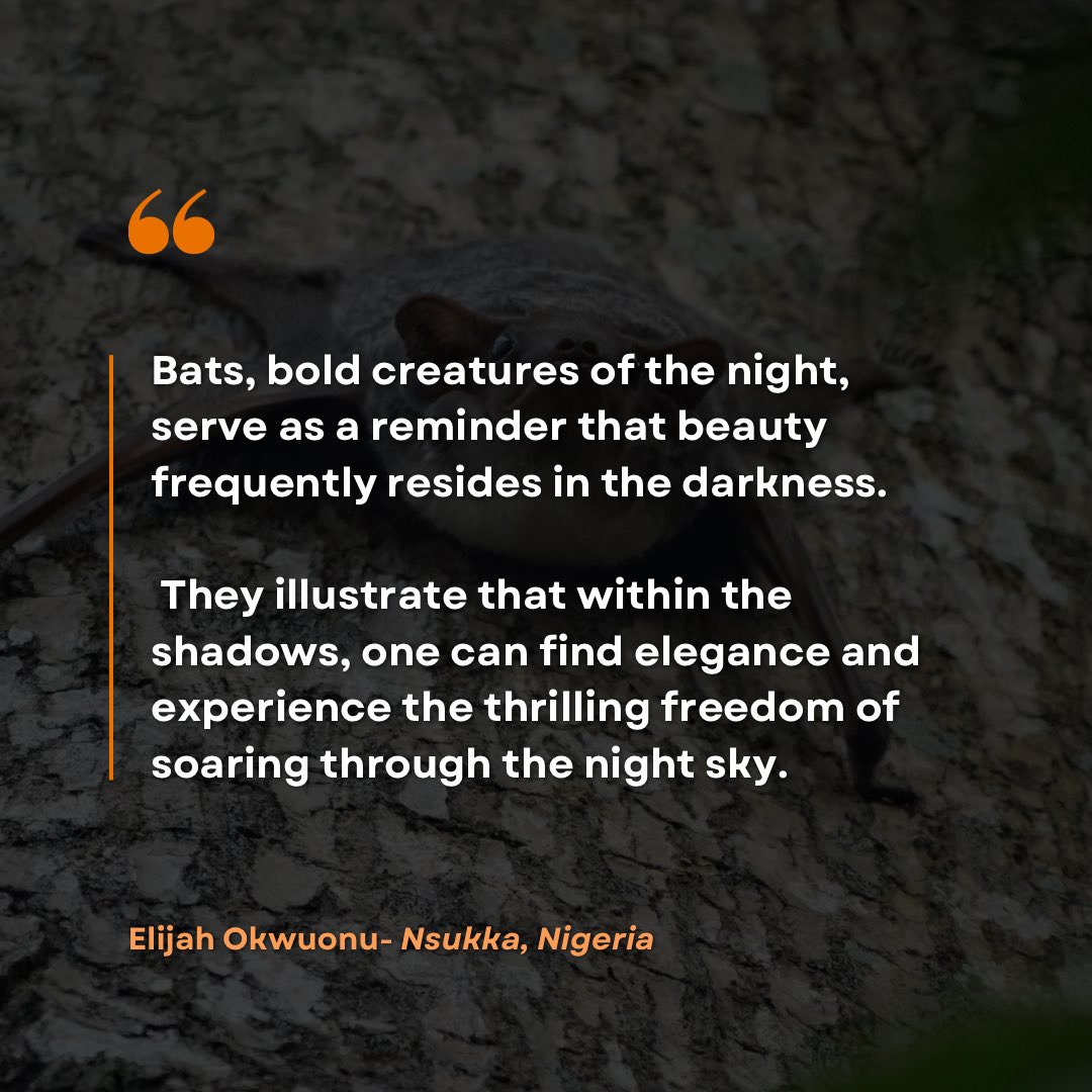 Small Mammal Conservation Organization (SMACON) (@smaconbats) on Twitter photo Celebrating #BatAppreciationDay with bat thoughts and memories from our community
 
#BatAppreciationDay2025 #Celebratebats #SMACONbats Celebrating #BatAppreciationDay with bat thoughts and memories from our community
 
#BatAppreciationDay2025 #Celebratebats #SMACONbats